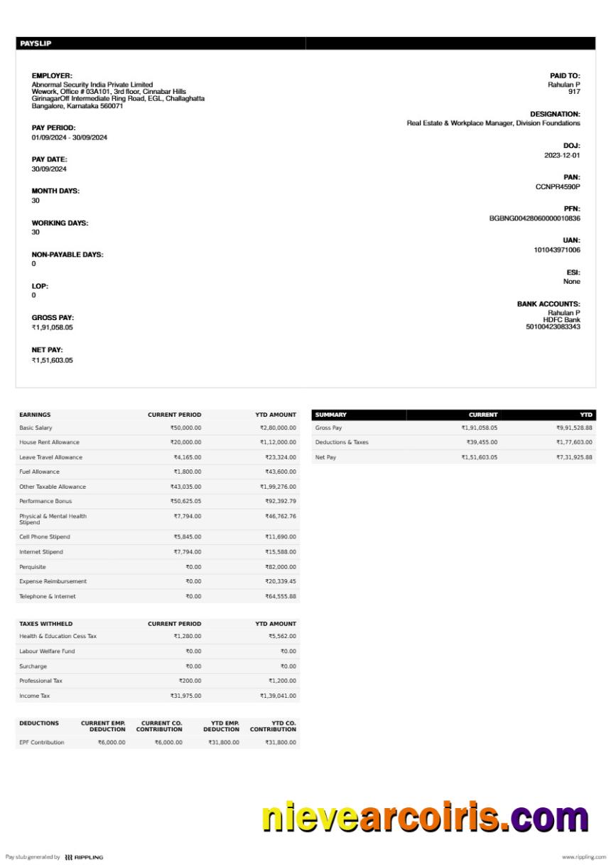 Abnormal Security India Private Limited payslip